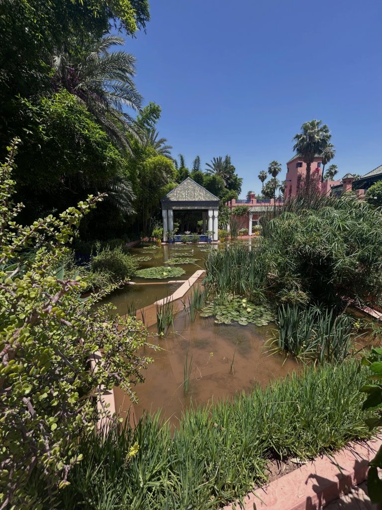 Marrakech on a Budget: A 7-Day Itinerary (Medina, Sahara & Everything In Between) majorelle garden