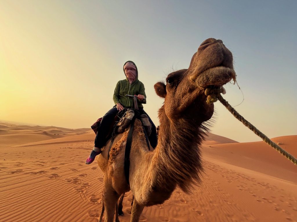 Marrakech on a Budget: A 7-Day Itinerary (Medina, Sahara & Everything In Between) camel